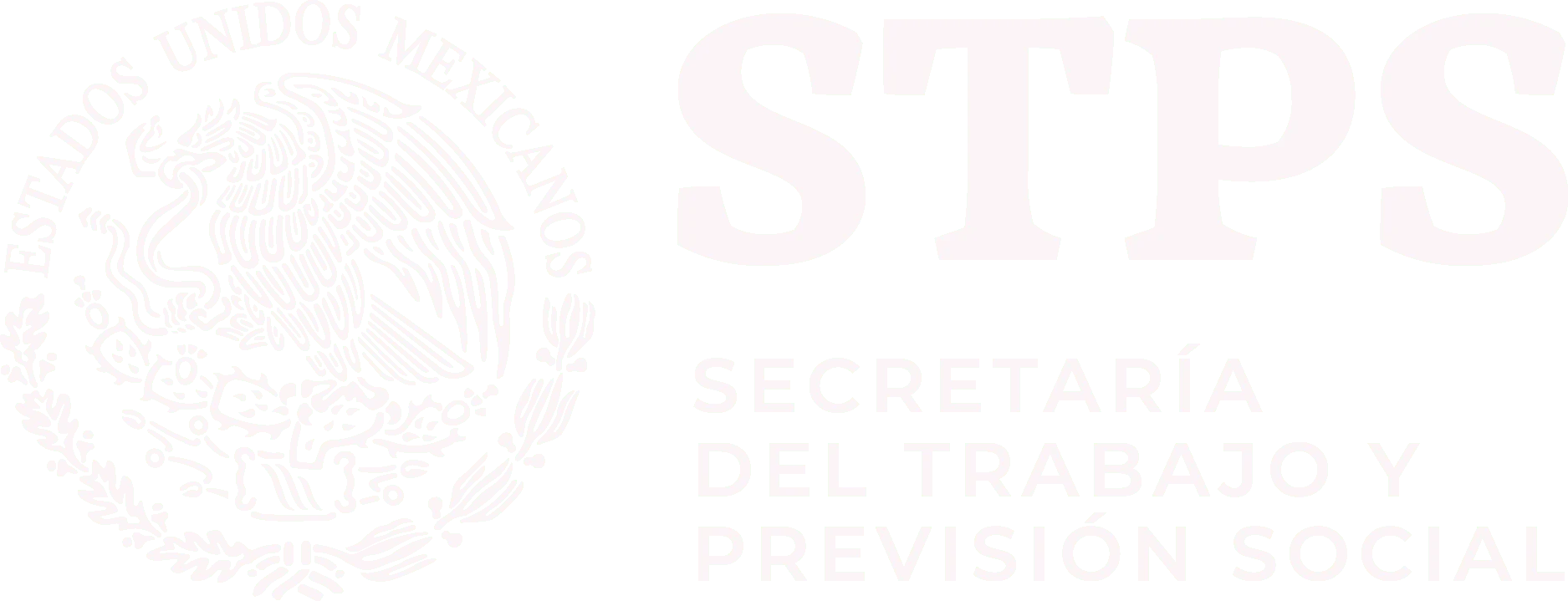 Validacion STPS